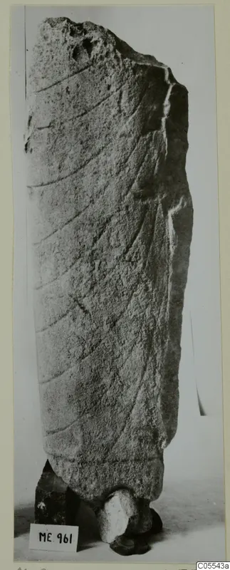 Tall limestone fragment from Mersinaki with shallow curved grooves, broken at the top, shown upright