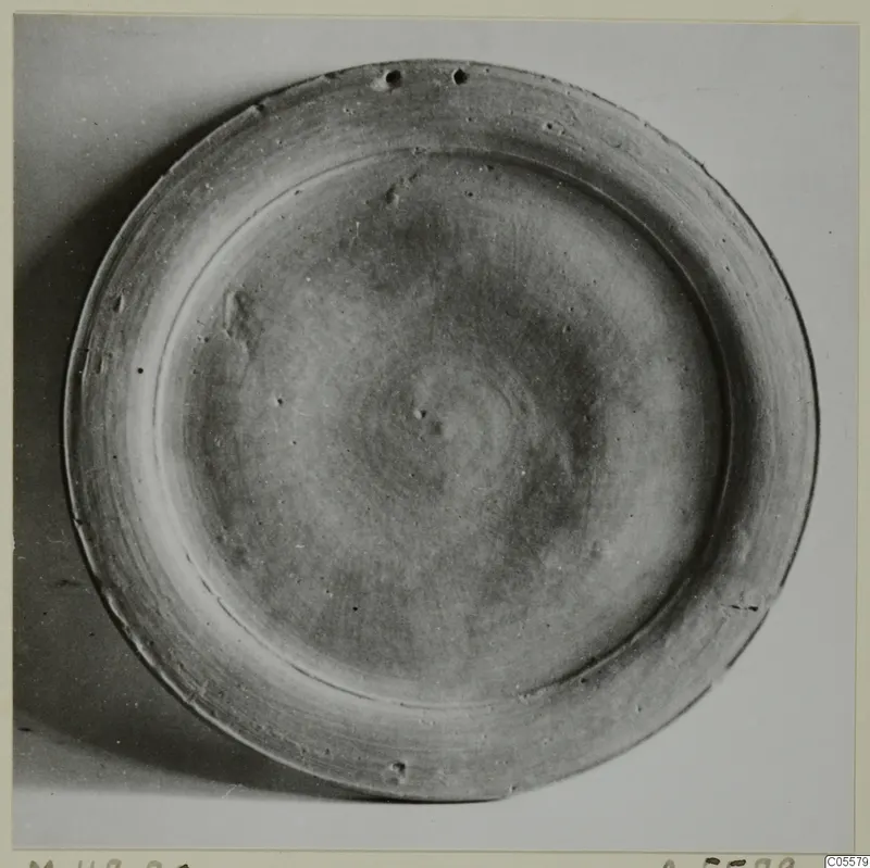 Pottery Stroke Polished Ware plate seen from above, with a raised ring inside its rim.