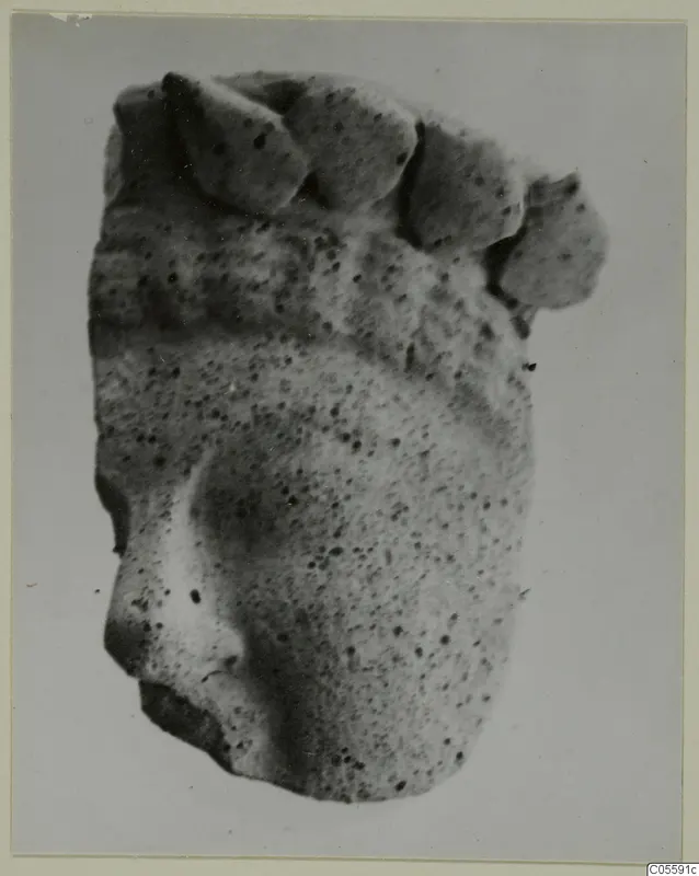 Fragment of a pitted sculpted figure, possibly a head, with a row of rounded forms along its upper edge