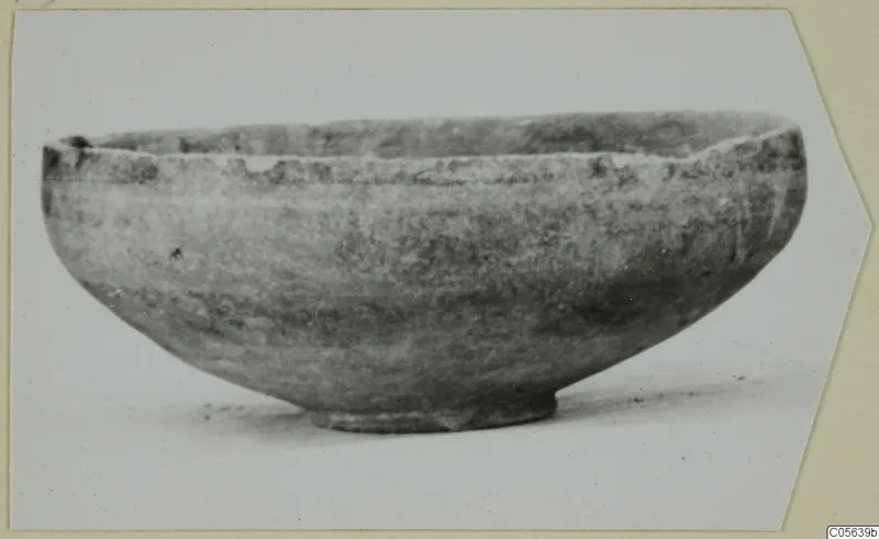 Pottery bowl with a rounded body and low ring foot, seen from the side against a pale background.
