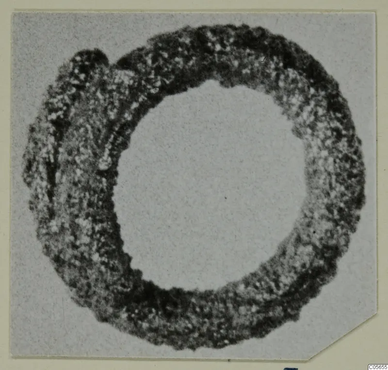 Corroded silver ring, photographed on a grey card mount, from Marion