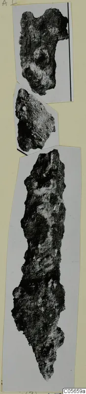Three photographs of corroded iron objects, one long and narrow, mounted on a pale card