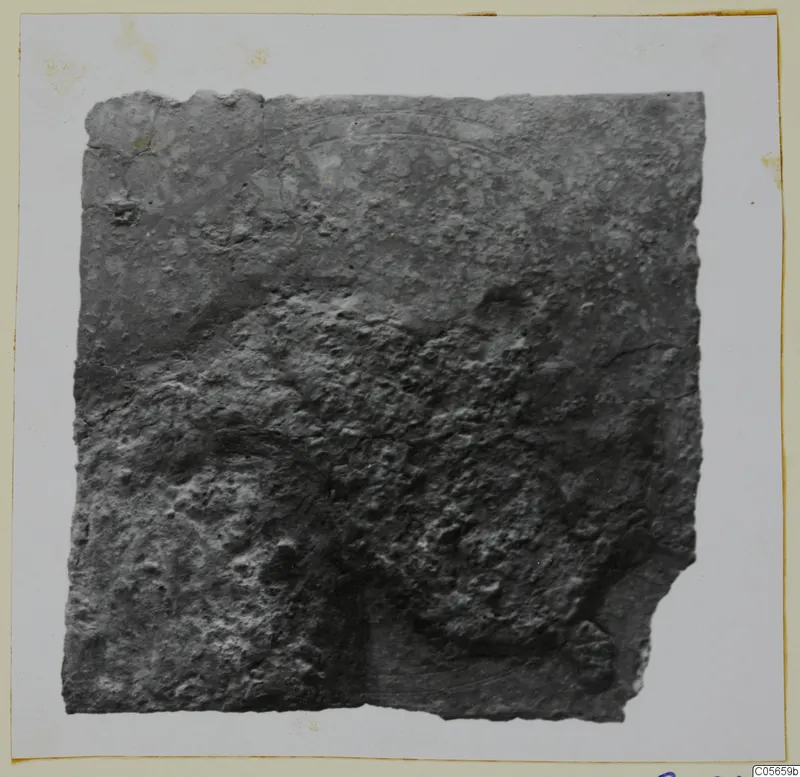 Corroded bronze fragment from Marion Tomb 60, with a raised curved pattern and broken edges, photographed on a card mount.