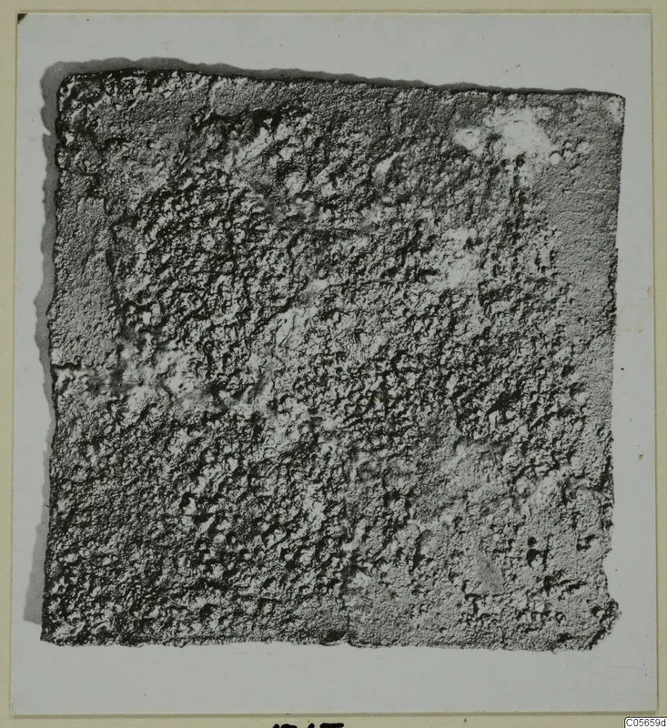 Square plaque from Marion, its surface covered in a dense, pitted crust.
