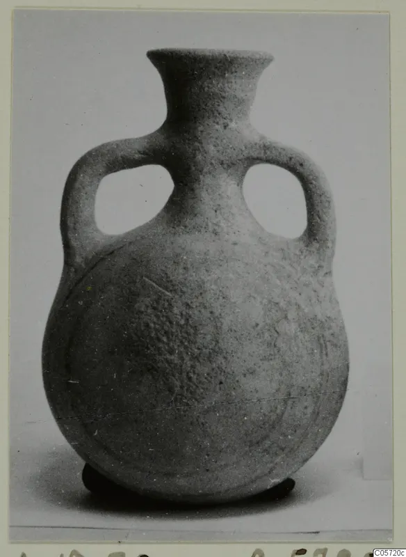 Round-bodied pottery bottle with a narrow flared neck and two loop handles, photographed on a plain background