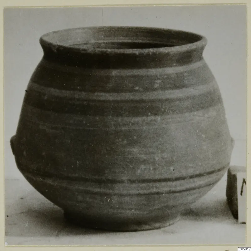 Globular pottery vessel with a wide flared rim, small lugs at the sides and horizontal bands around the body, on a plain surface
