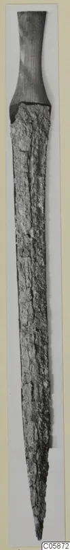 Iron sword with a long, corroded blade and a dark handle at the top, photographed upright on a pale card mount.