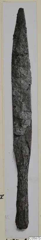 Long corroded iron blade, pointed at the top with a narrow tang at the bottom, shown upright on a pale card mount.