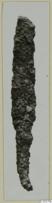 Iron weapon, long and narrow with a heavily corroded surface, photographed upright on a pale background