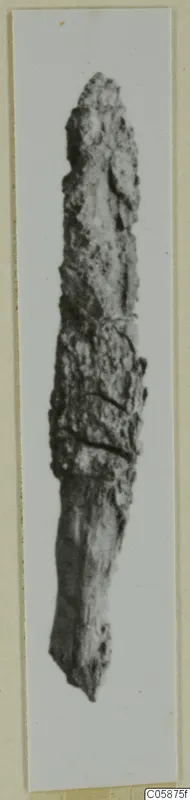 Corroded iron object, long and pointed at the upper end, shown upright on a pale mount.