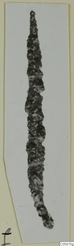 Long, narrow, heavily corroded iron object tapering to a point, shown upright on a pale card