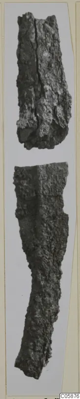 Two corroded iron fragments, one above the other, photographed upright on a light card mount