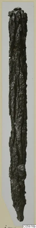 Long corroded iron weapon, narrow and pointed at the lower end, photographed upright on a pale card