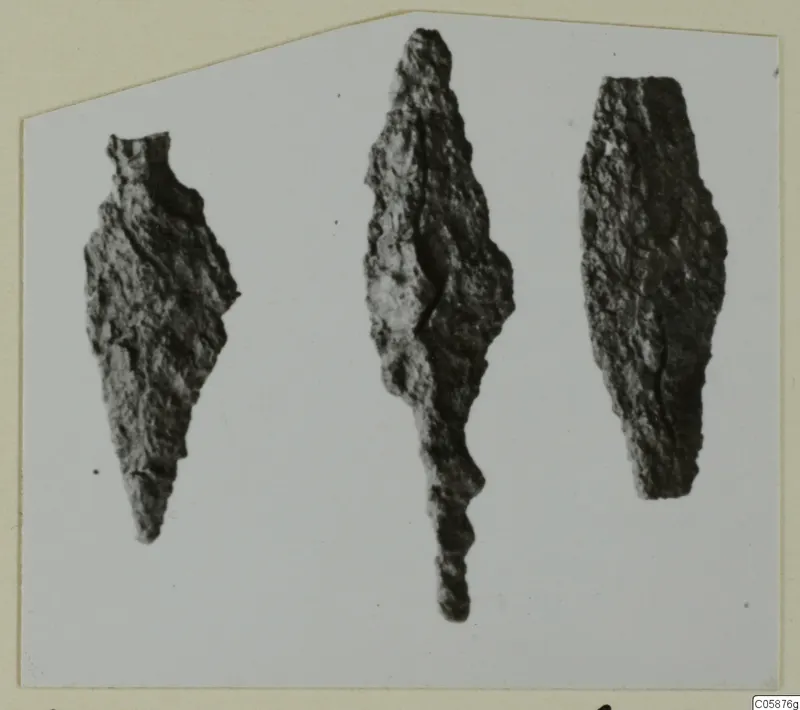Three corroded iron weapons lying side by side on a pale card.