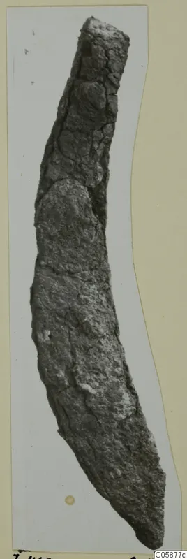 Corroded, curved iron tool photographed upright against a pale card