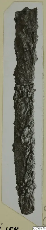 Long, narrow corroded iron object with a rough, encrusted surface, shown on a pale card mount