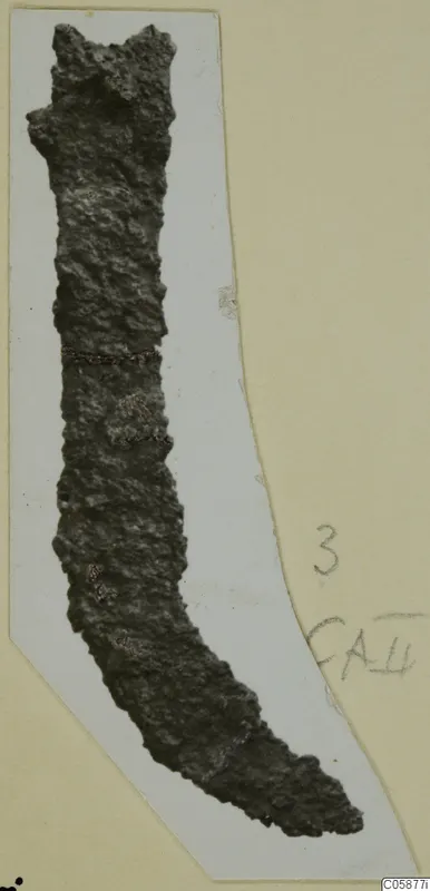 Corroded iron knife, long and curved, lying on a pale card mount.