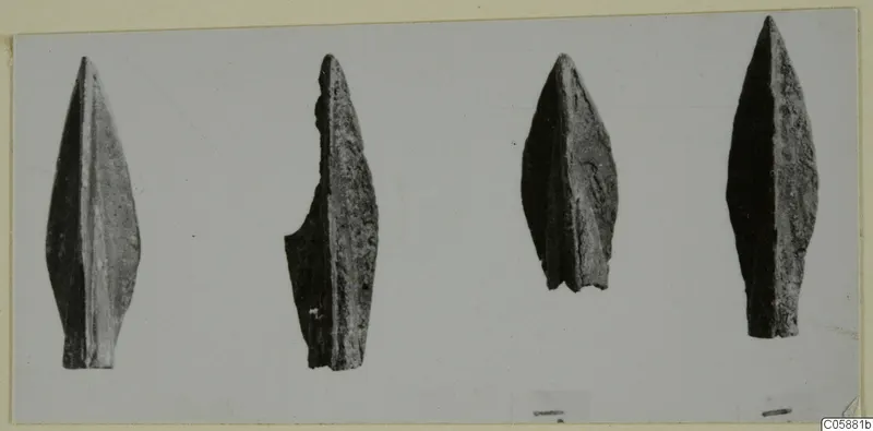 Four pointed, leaf-shaped metal blades laid in a row on a pale grey surface, Idalion finds.