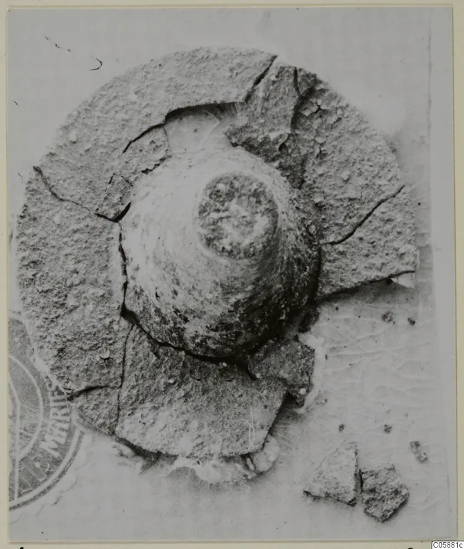 Corroded metal object with a domed body and central knob, surrounded by broken flat fragments