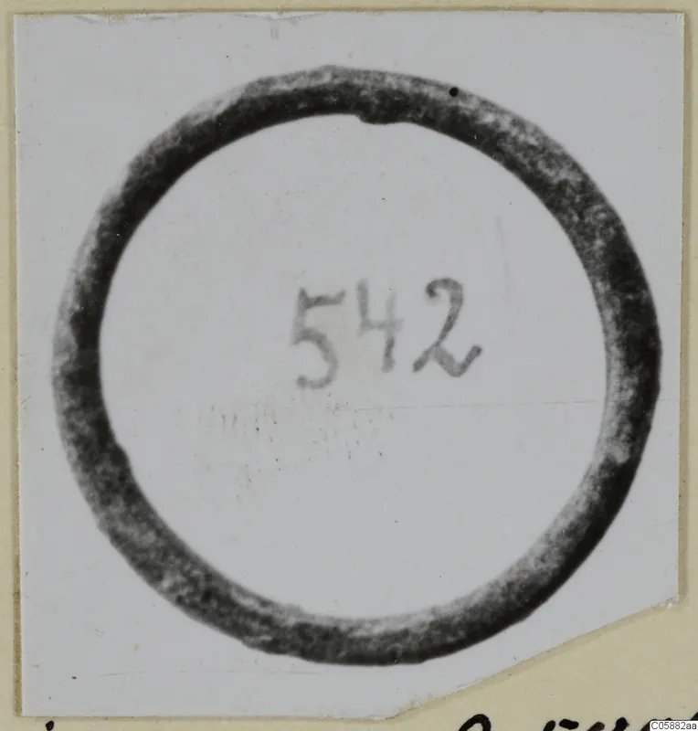 Bronze ring with a handwritten number label 542 in its centre.