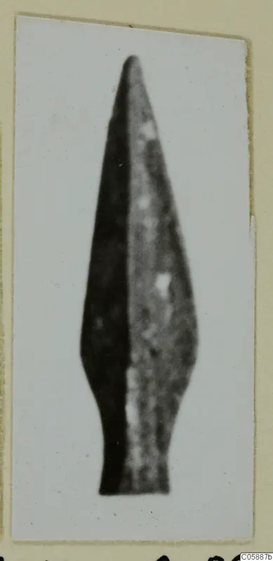 Arrowhead find, photographed upright as a single leaf-shaped point on a white card.