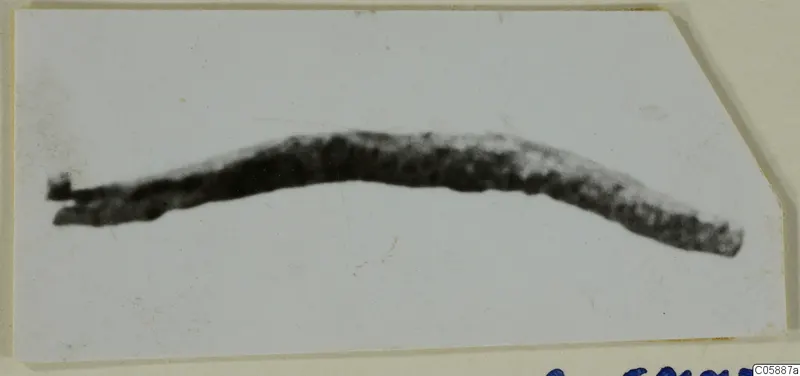 Curved lead rod, dark and blurred, lying across a pale background