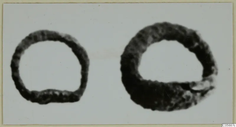 Two dark, corroded metal rings on a pale background, one smaller than the other.