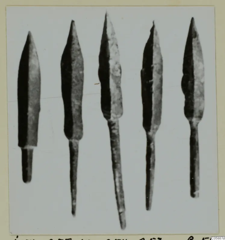 Five bronze weapon heads with leaf-shaped blades and tangs, from the Idalion series