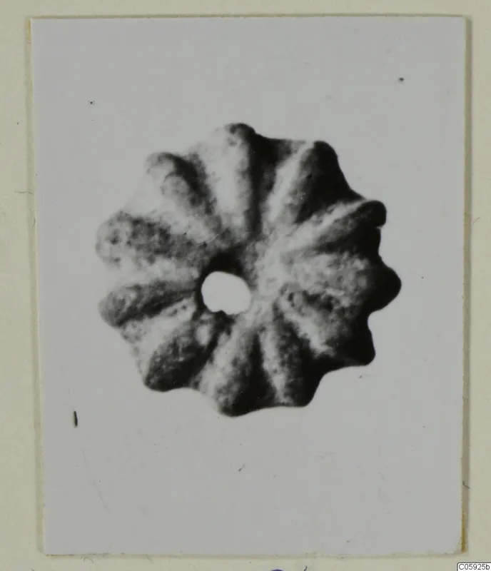 Disc-shaped object with rounded radiating lobes around a central hole, shown as a photograph of a find