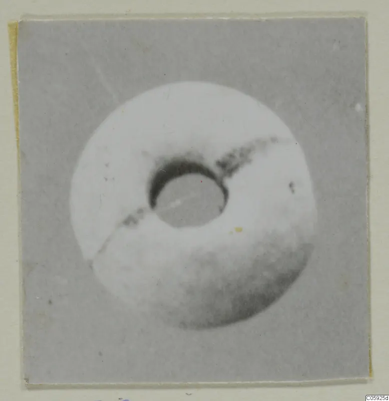 Pale disc-shaped object with a large central hole, photographed close up and mounted on a grey card.