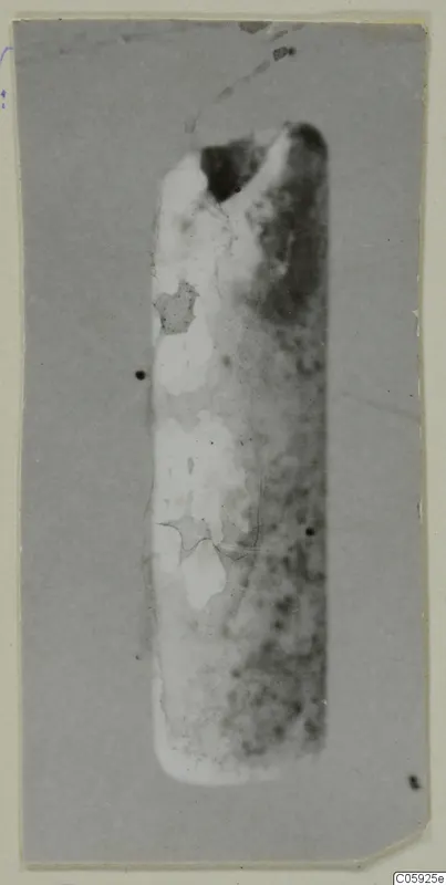 Cylindrical object standing upright with a dark hollow at the top and a mottled pale surface
