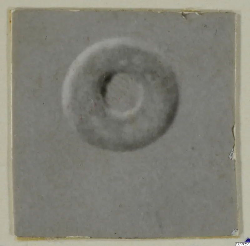 Ring-shaped object with a central hole, photographed on a grey card