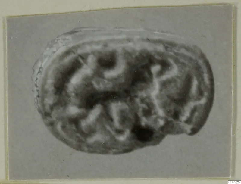 Oval engraved stone seal or gem, photographed in soft focus on a grey card mount