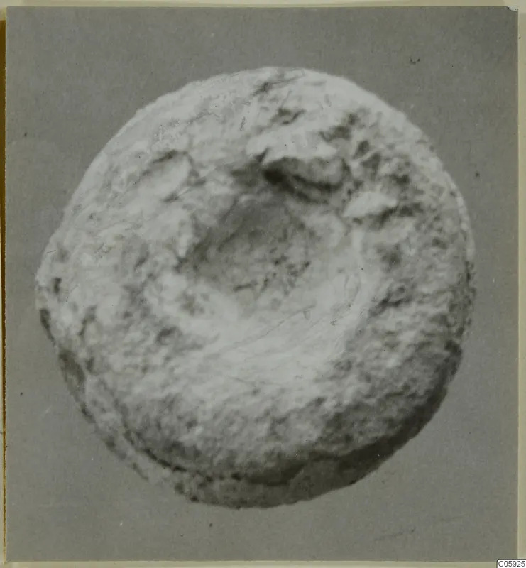 Round lead object with a broad rim and a shallow central hollow