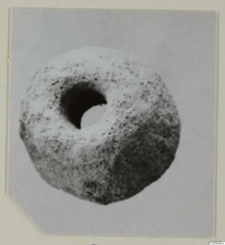 Small rounded object with a large hole through its centre, shown in close view on a mounted print
