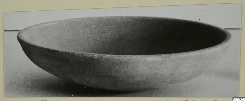 Shallow bowl with a rounded body and a thin, flared rim, shown in side view on a pale surface.