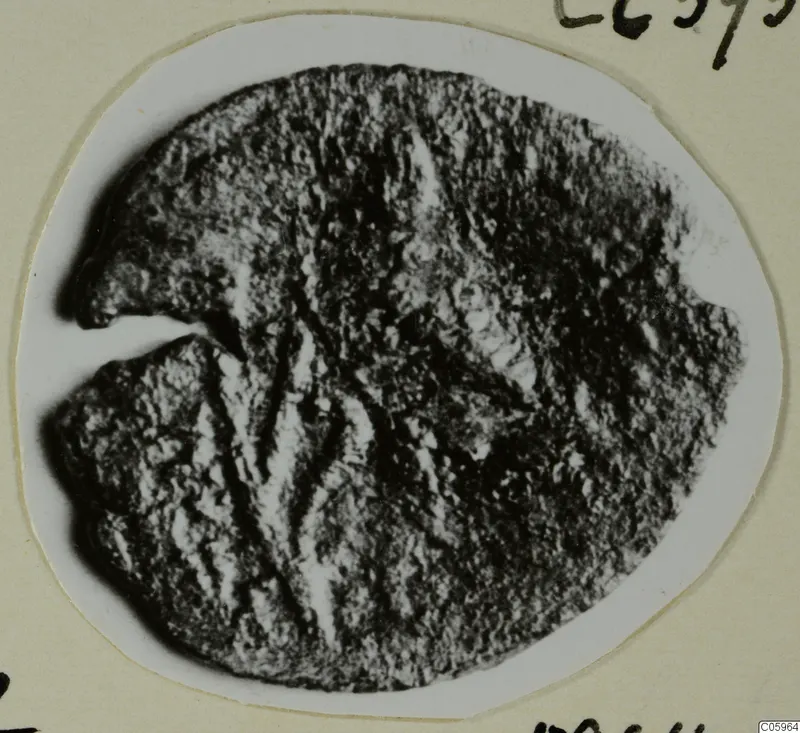 Corroded bronze coin from Idalion, Tomb 2, with a notch cut into its left edge