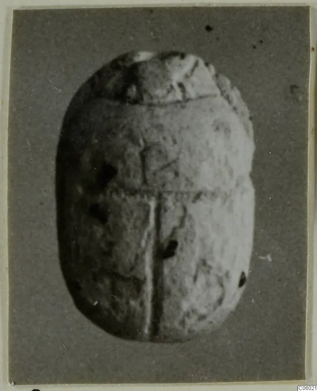 Scarab seal in stone, photographed on a grey background