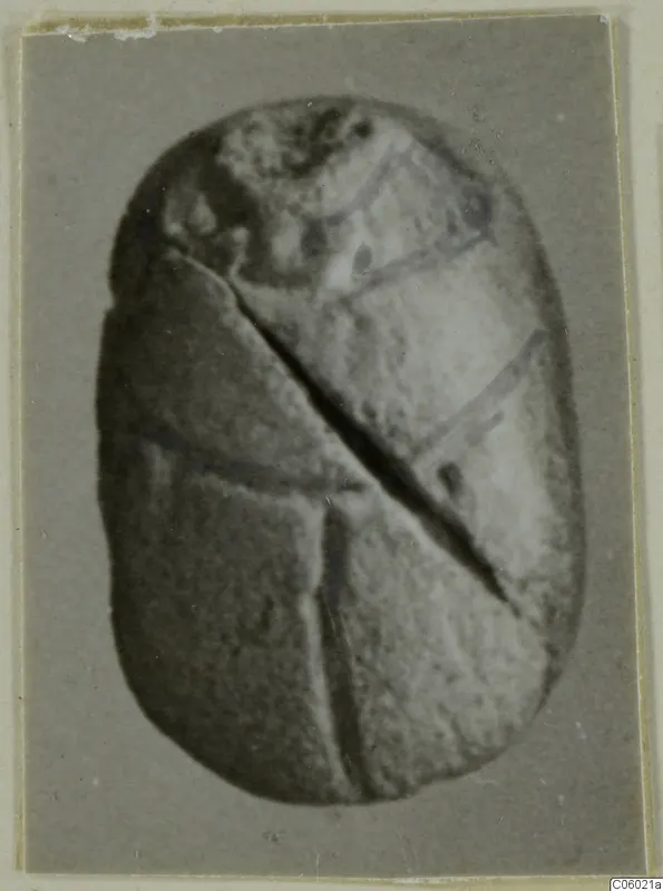 Oval scarab with straight incised lines and a dark diagonal groove across its face