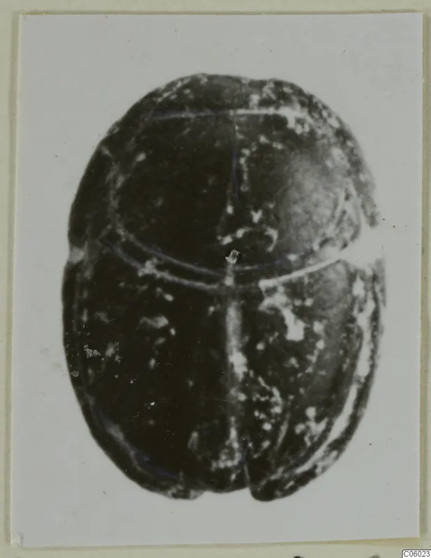 Dark stone scarab seal seen from above, with a horizontal line across its head and a central groove along its back.