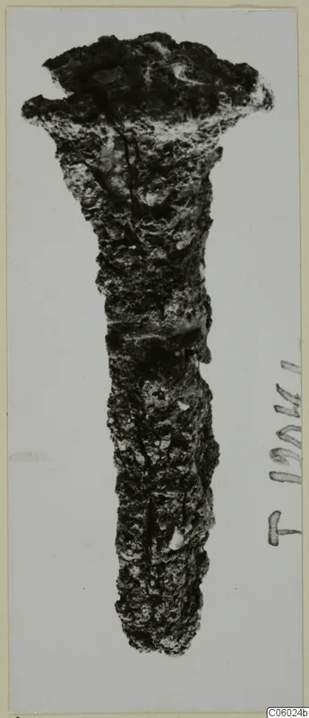 Corroded iron nail from Idalion, shown upright on a pale card mount.