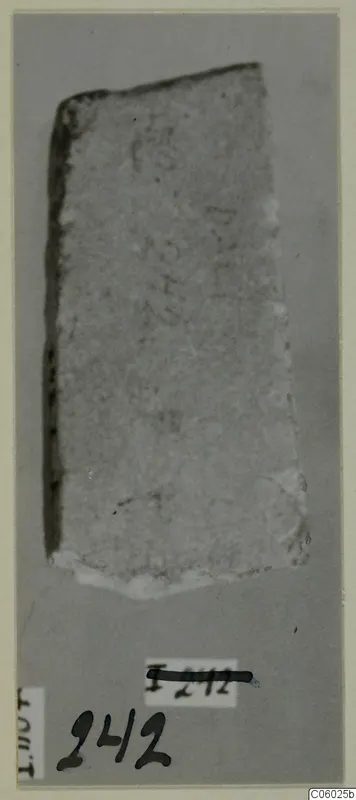 Fragment of a pale, roughly textured object with faint marks, mounted on a grey card