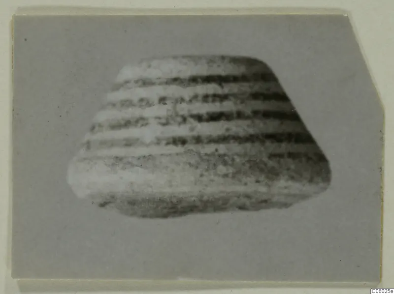 Small pale fragment with horizontal dark bands, photographed on a grey backdrop