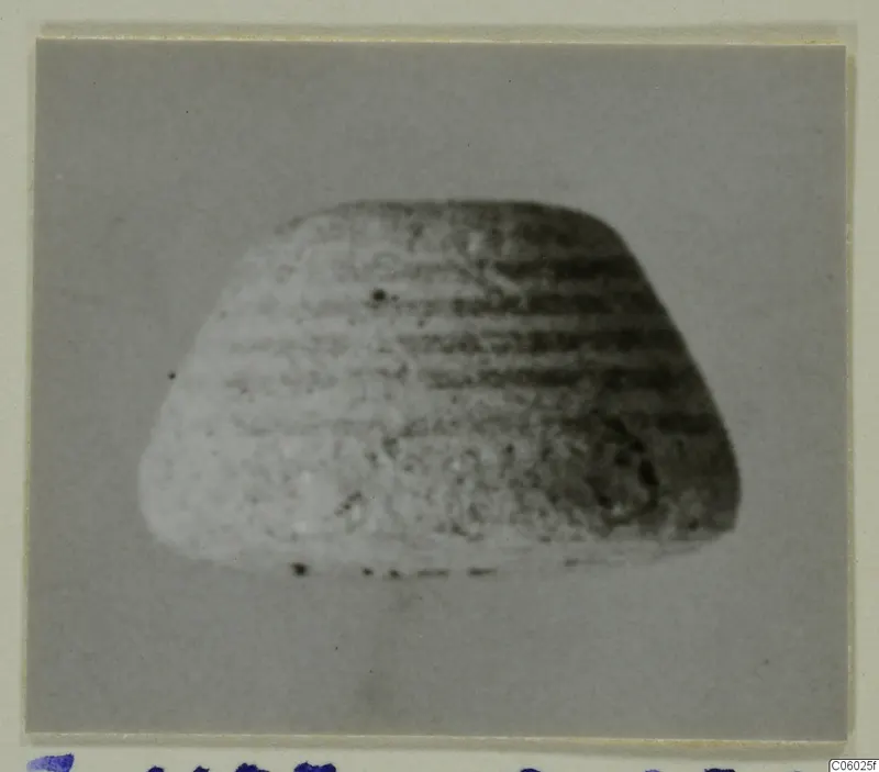 Terracotta find J.1107, a blurred photograph of a rounded object with horizontal ridges, mounted on a card