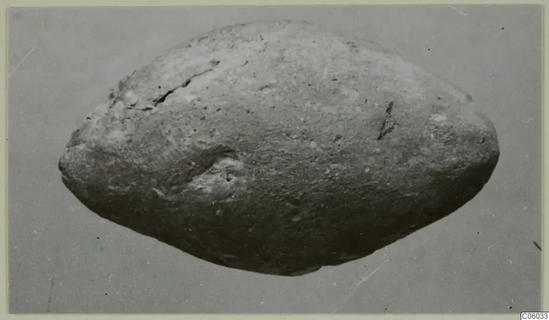 Small find from Idalion: an oval, rounded object with a cracked and chipped surface