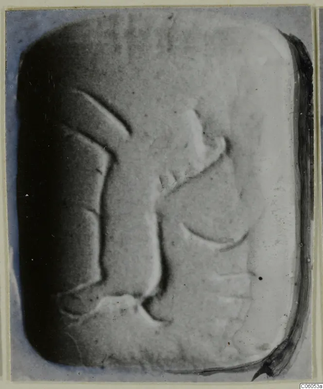 Rectangular seal or gem with rounded corners and a carved design of curved lines, shown close up.
