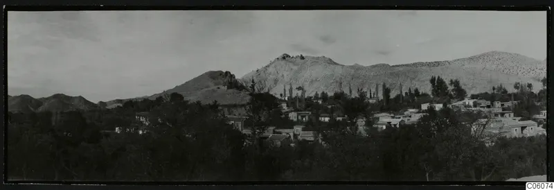 Panoramic view of the village of Fylleri, houses among trees below bare pale hills.