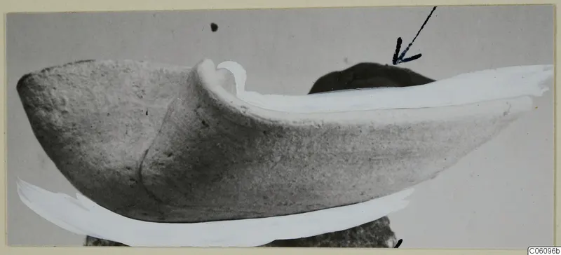 Terracotta lamp in side view, with a raised rim curving up at one end