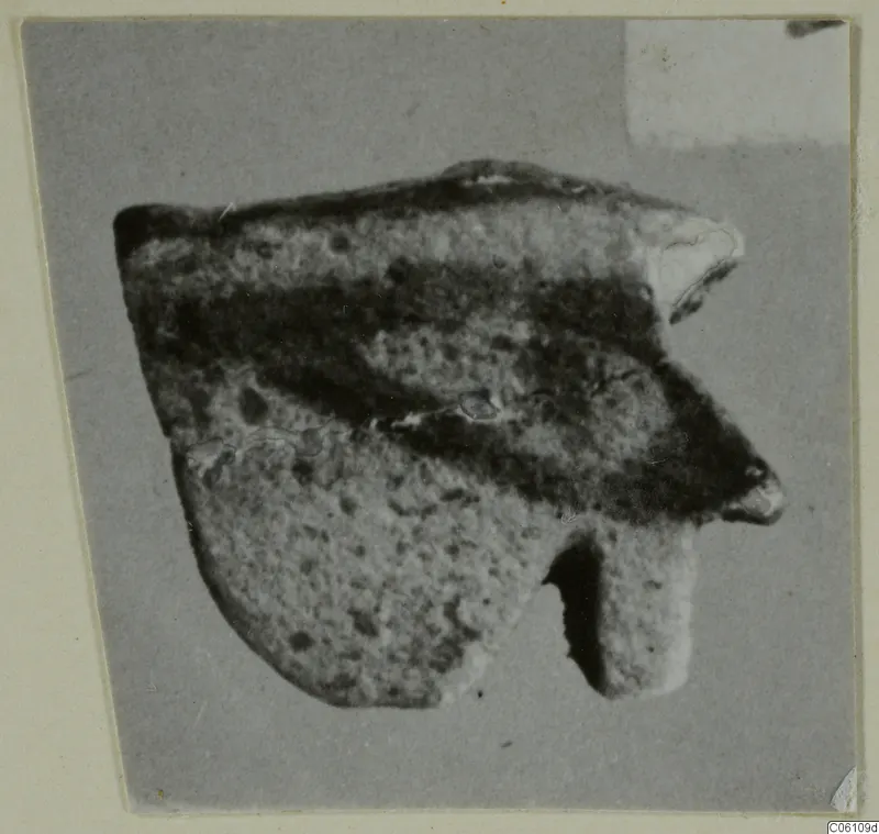 Broken fragment with a dark band across a pale, pitted surface, shown on a grey card mount
