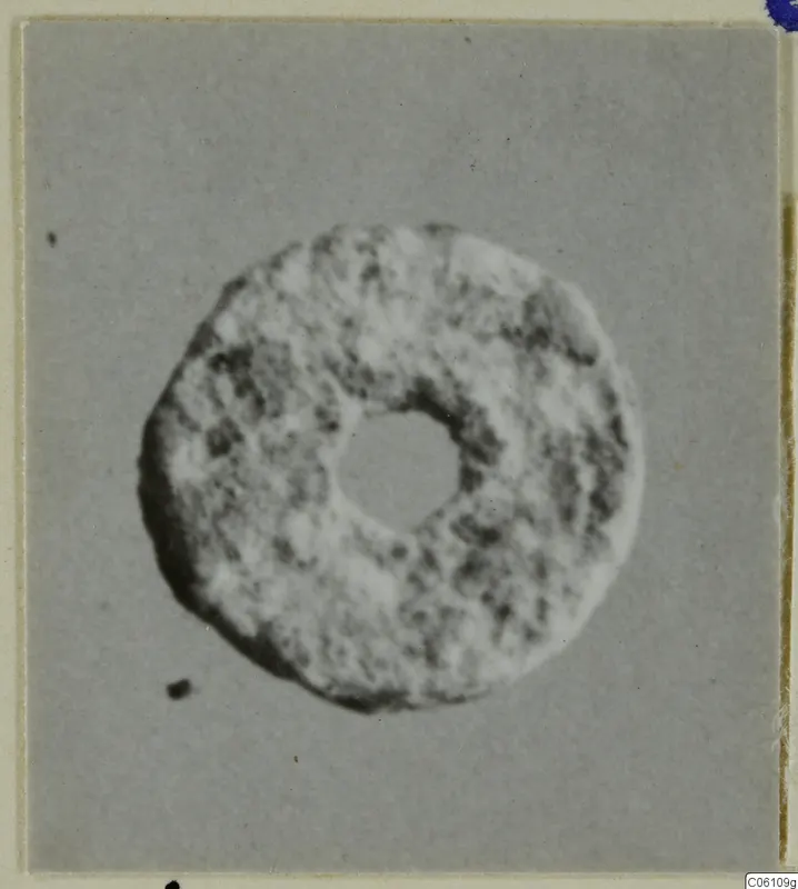Bone disc with a central hole, photographed on a grey backdrop